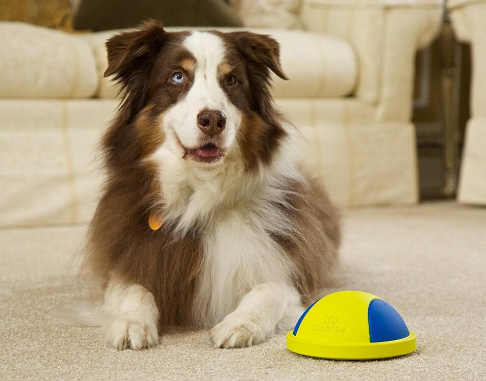 Puppy Playtime Chew Ball