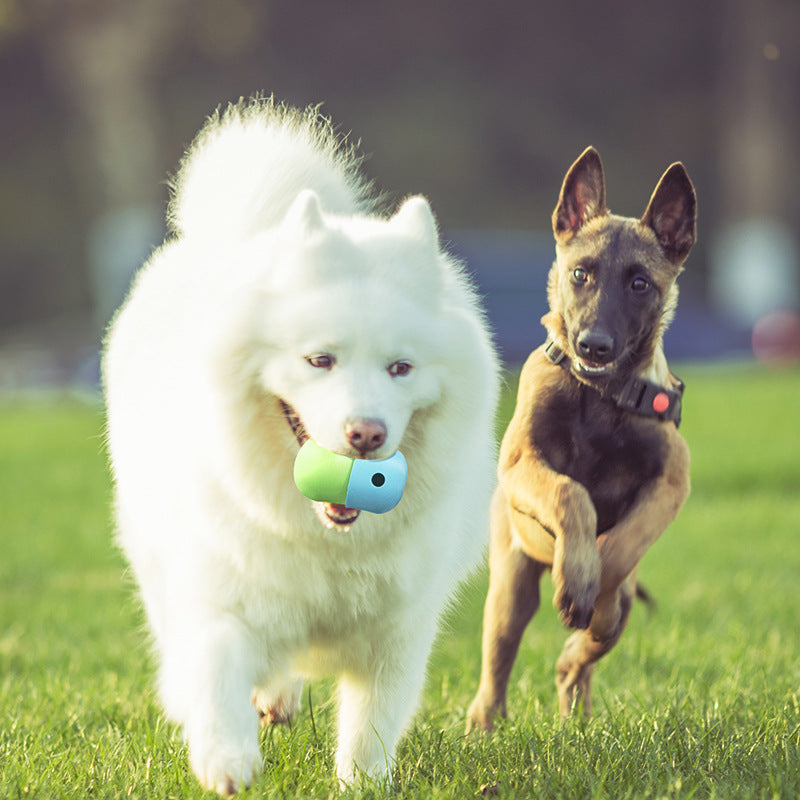 Silicone Dog Feeding Toy Ball for Outdoor Play
