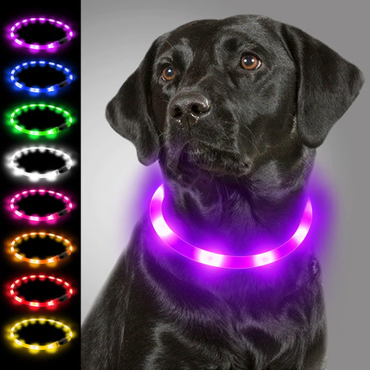 Joytale Rechargeable LED Dog Collar for Night Safety