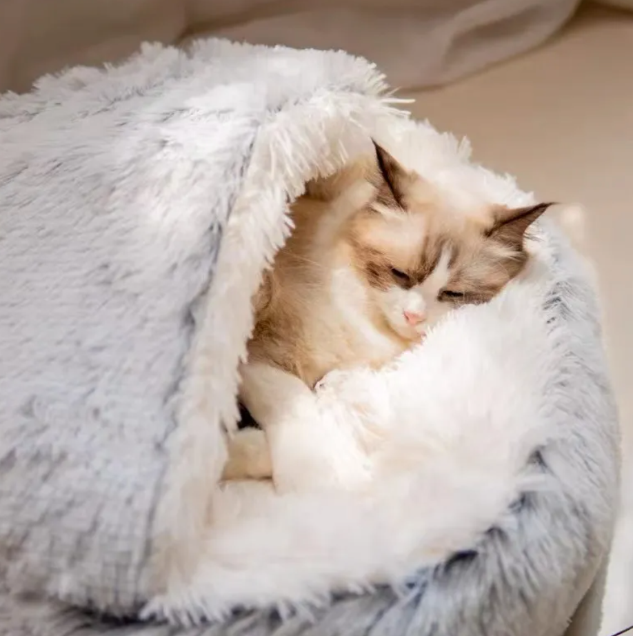 Semi-Closed Pet Bed with Canopy