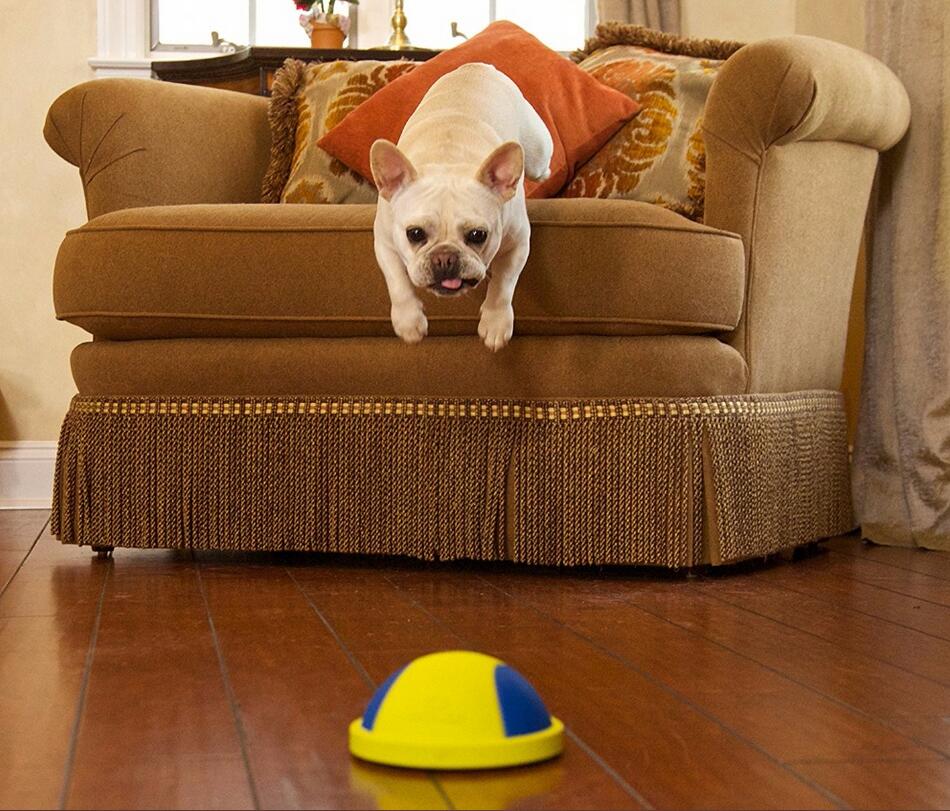 Puppy Playtime Chew Ball