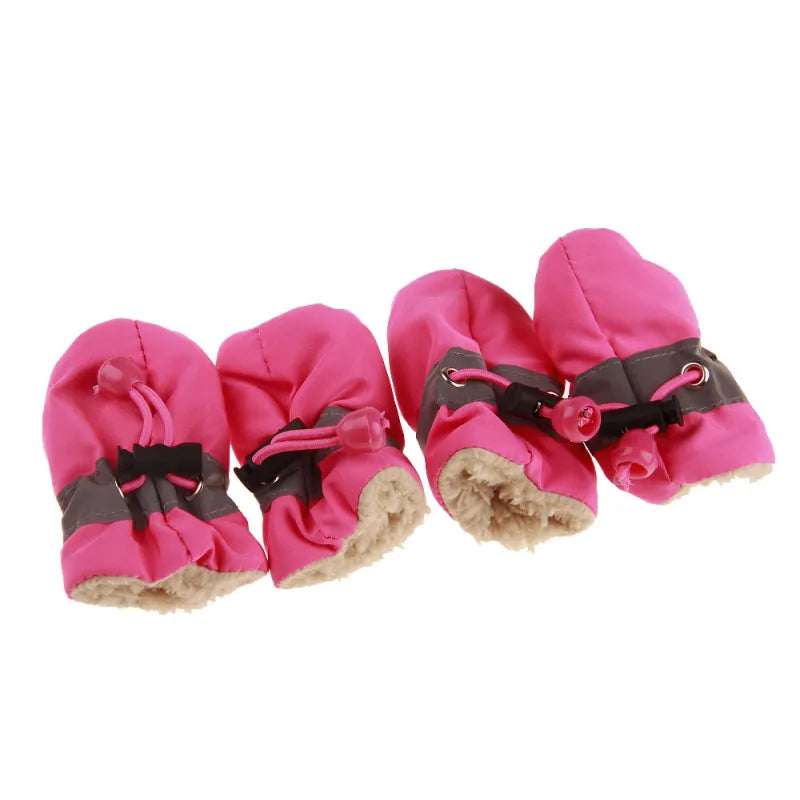 Paw Protectors