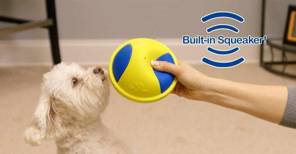 Puppy Playtime Chew Ball