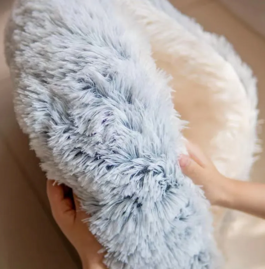 Semi-Closed Pet Bed with Canopy