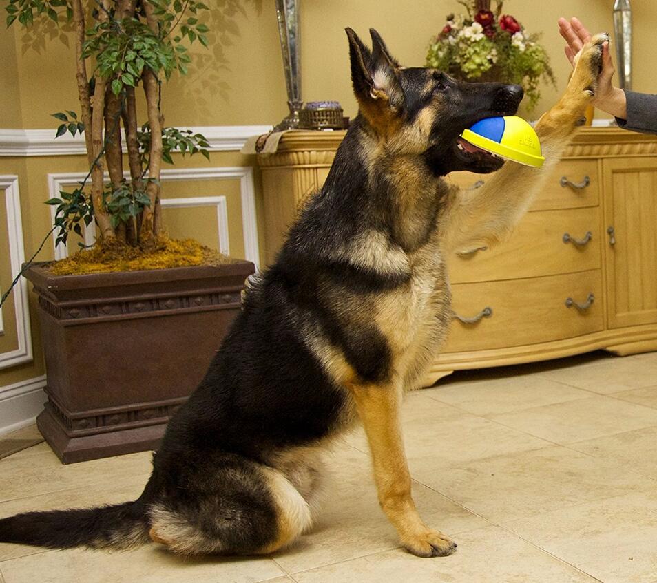 Puppy Playtime Chew Ball